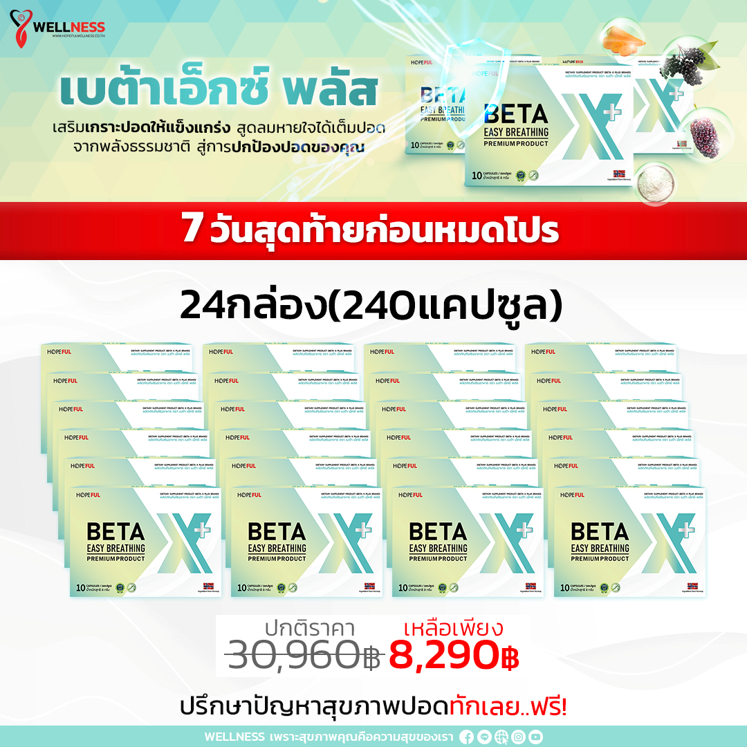 24 กล่อง