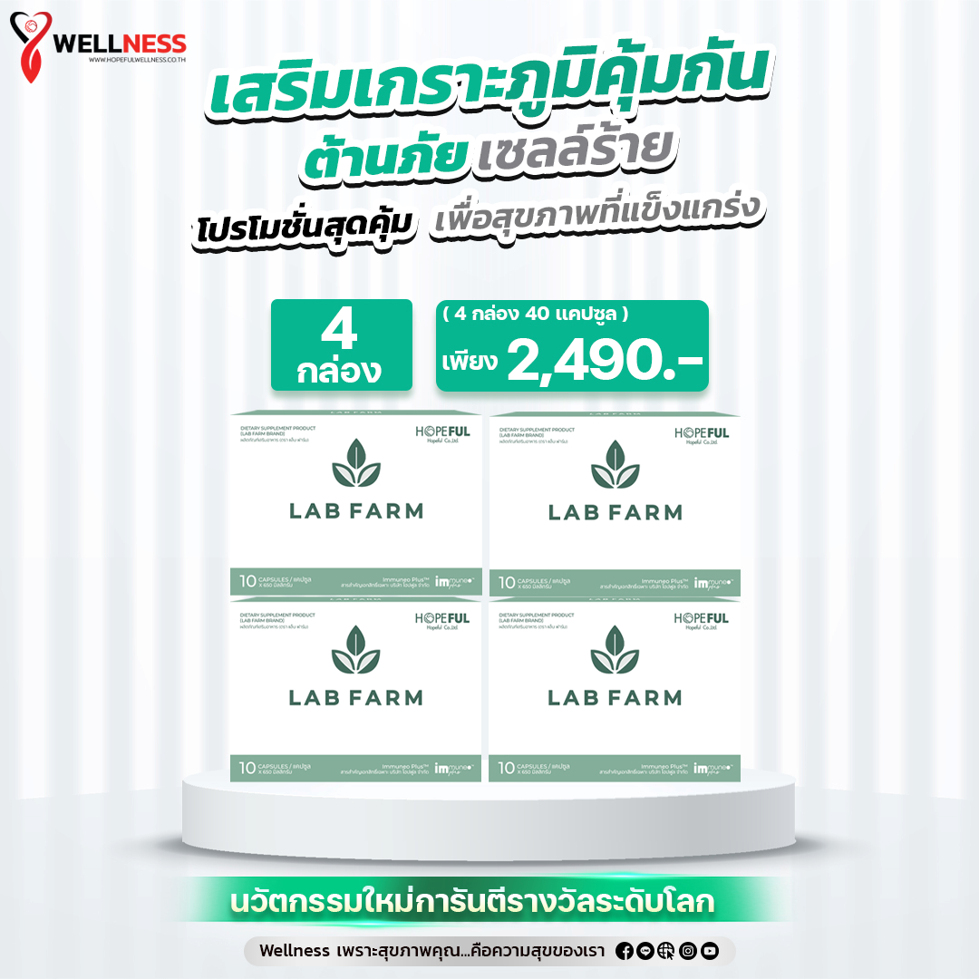 4 กล่อง