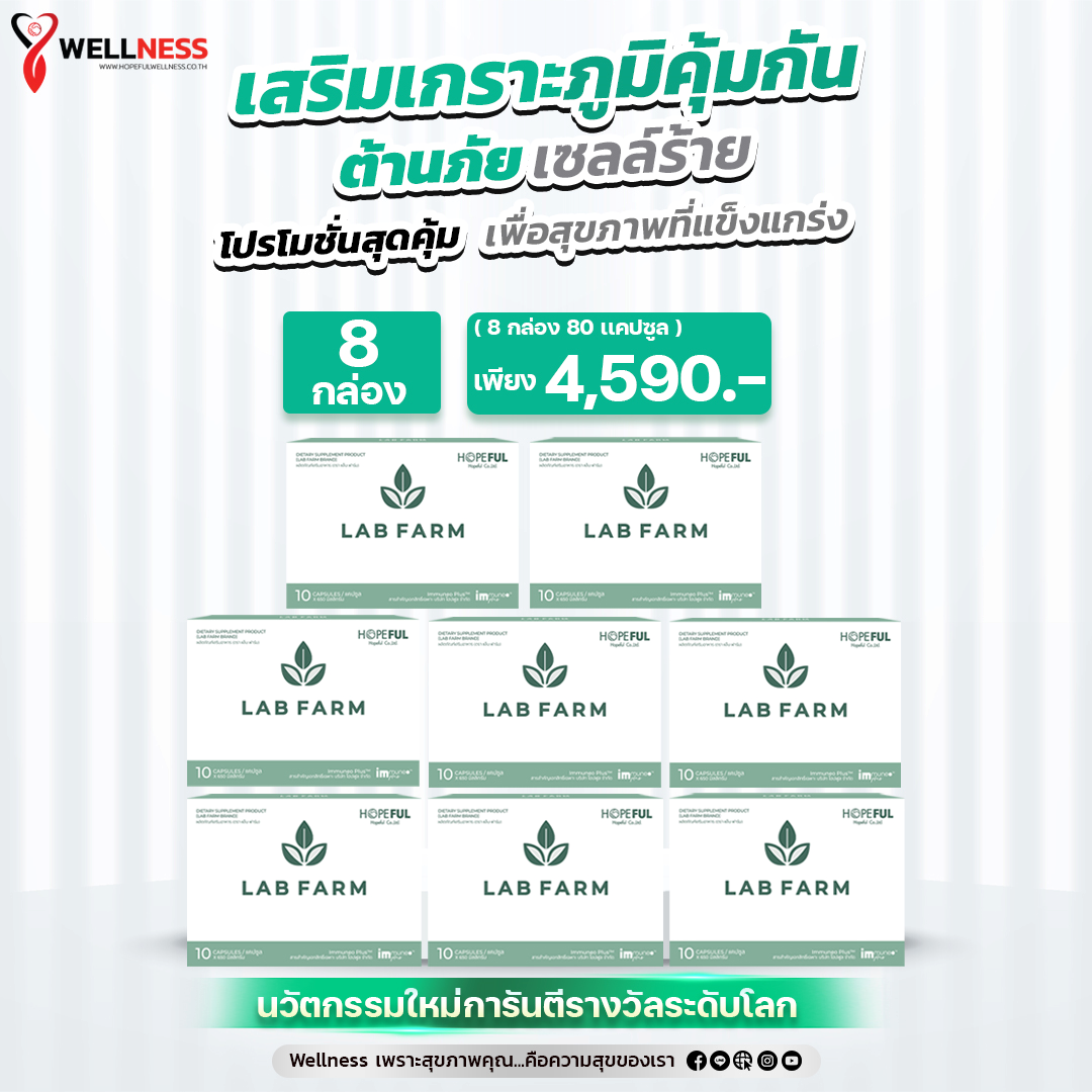 8 กล่อง