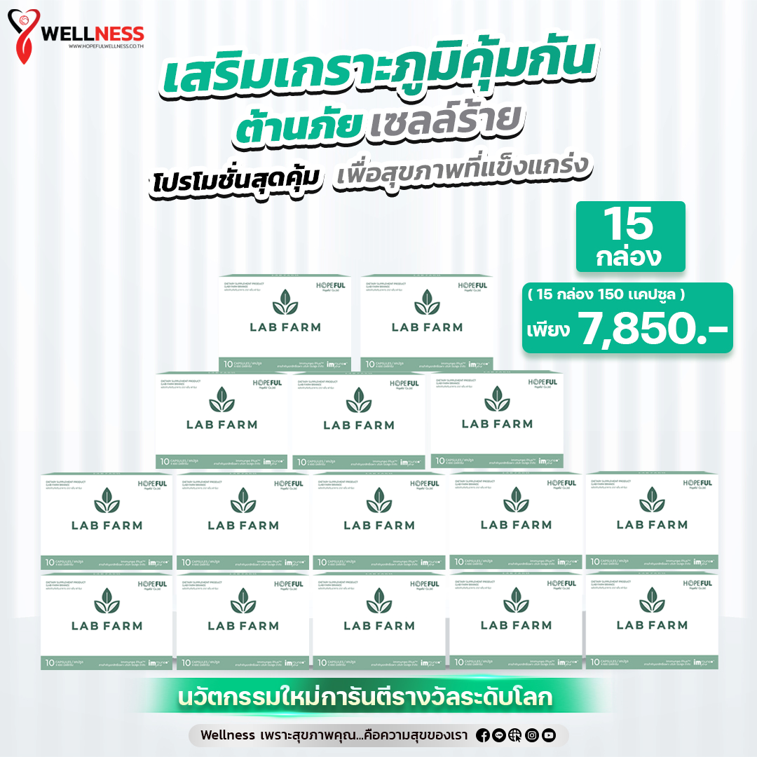 15 กล่อง