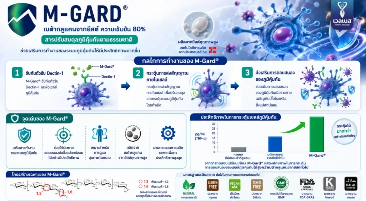 วิธีการทำงาน M-Gard