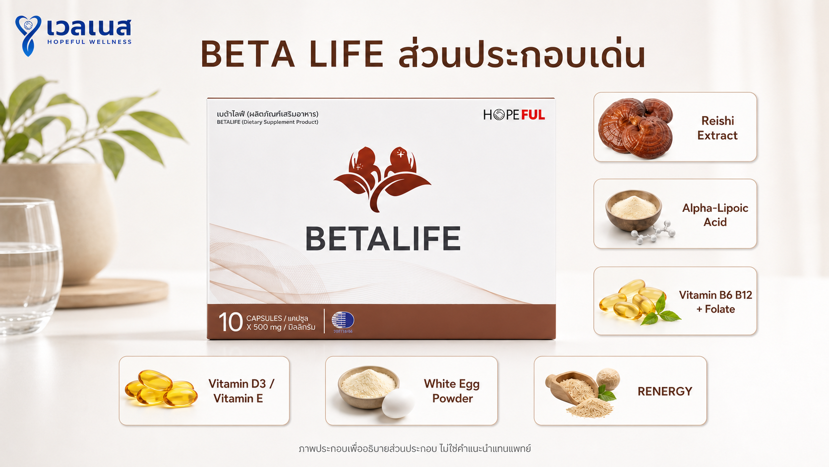 BETA LIFE ส่วนประกอบเด่น - ภาพประกอบบทความมุมตรง ภาพนี้จัดทำขึ้นเพื่อประกอบการอธิบายส่วนประกอบในบทความ ไม่ใช่ภาพแคปซูลจากสินค้าจริง และไม่ใช่คำแนะนำทางการแพทย์หรือการใช้แทนยา