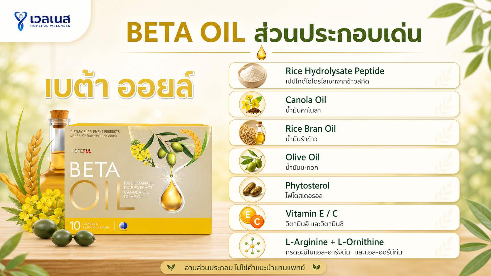 BETA OIL ส่วนประกอบเด่น - ภาพประกอบบทความ ของ เบต้า ออยล์ ภาพนี้จัดทำขึ้นเพื่อประกอบการอธิบายส่วนประกอบในบทความ ไม่ใช่ภาพแคปซูลจากสินค้าจริง และไม่ใช่คำแนะนำทางการแพทย์หรือการใช้แทนยา