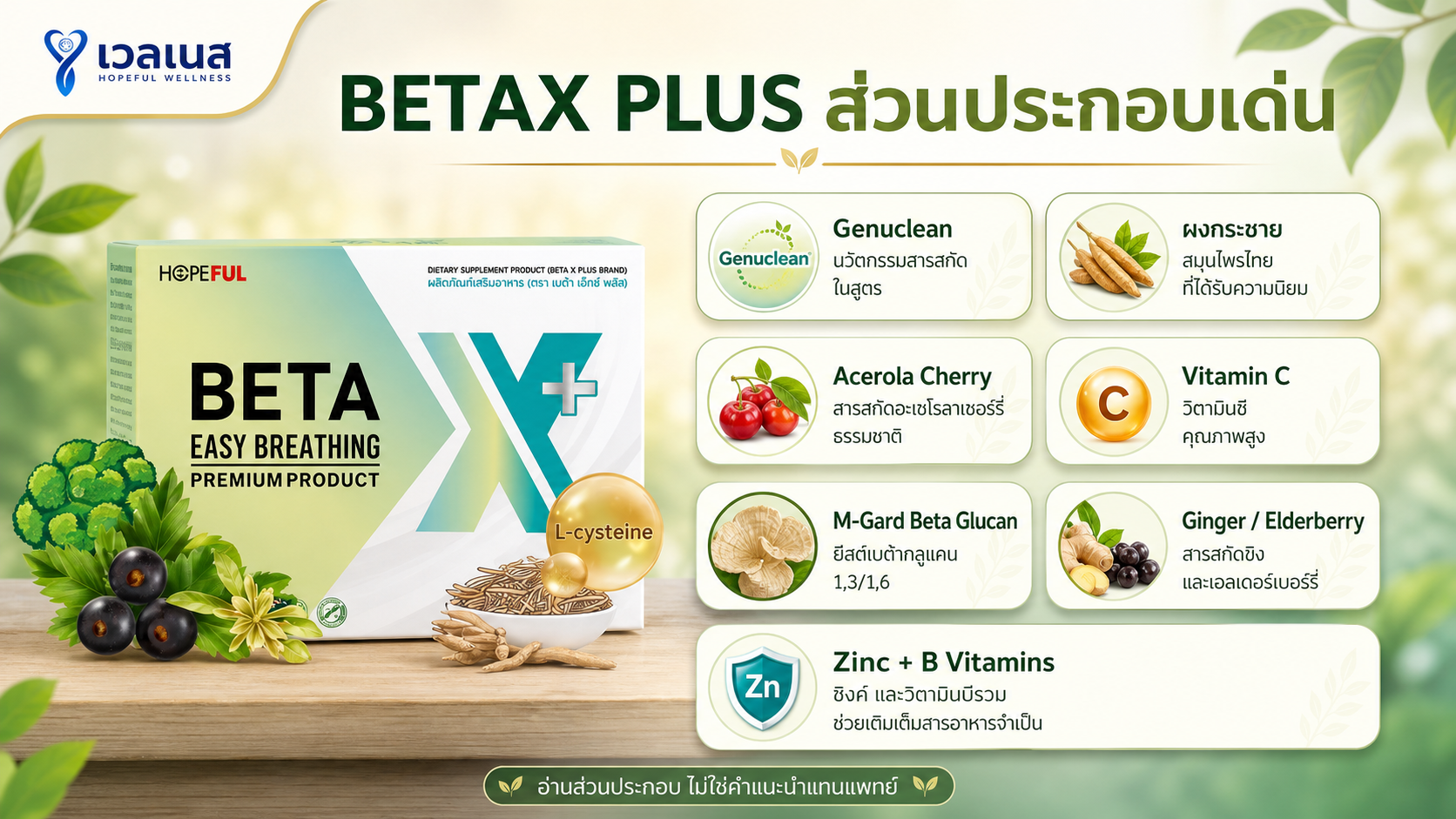 BETAX PLUS ส่วนประกอบเด่น - ภาพประกอบบทความ ของ เบต้า เอ็กซ์ พลัส ภาพนี้จัดทำขึ้นเพื่อประกอบการอธิบายส่วนประกอบในบทความ ไม่ใช่ภาพแคปซูลจากสินค้าจริง และไม่ใช่คำแนะนำทางการแพทย์หรือการใช้แทนยา