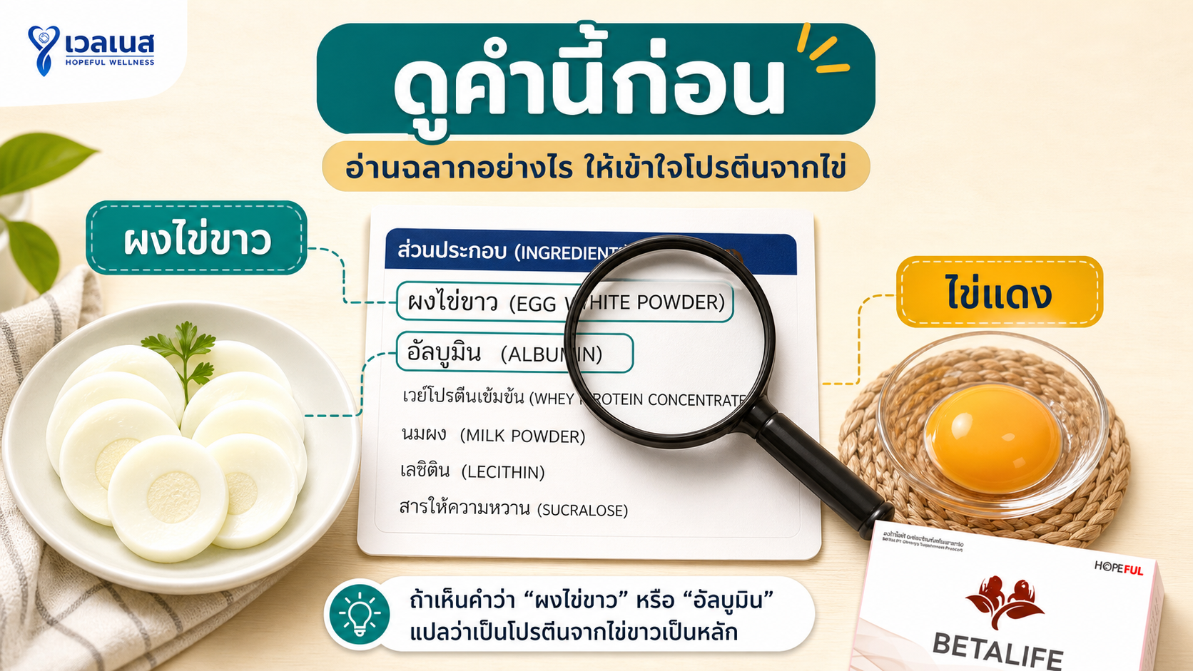 ดูคำนี้ก่อน: ผงไข่ขาว อัลบูมิน ไข่แดง
