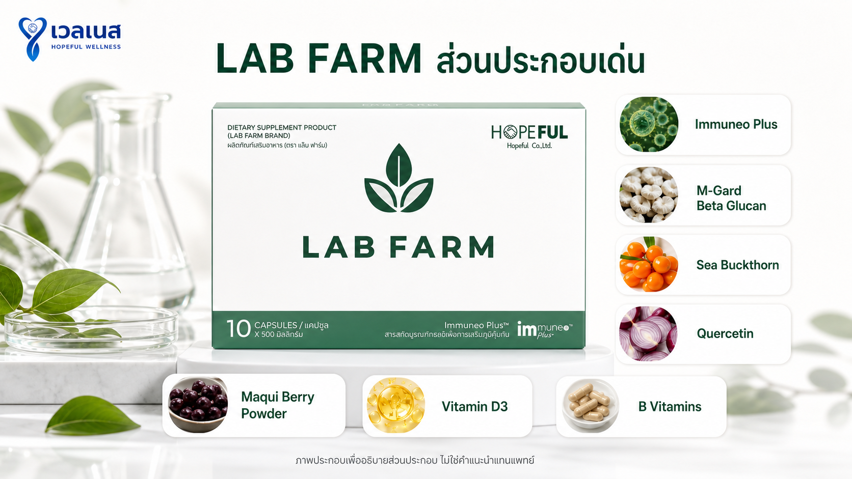 LAB FARM ส่วนประกอบเด่น - ภาพประกอบบทความมุมตรง ภาพนี้จัดทำขึ้นเพื่อประกอบการอธิบายส่วนประกอบในบทความ ไม่ใช่ภาพแคปซูลจากสินค้าจริง และไม่ใช่คำแนะนำทางการแพทย์หรือการใช้แทนยา