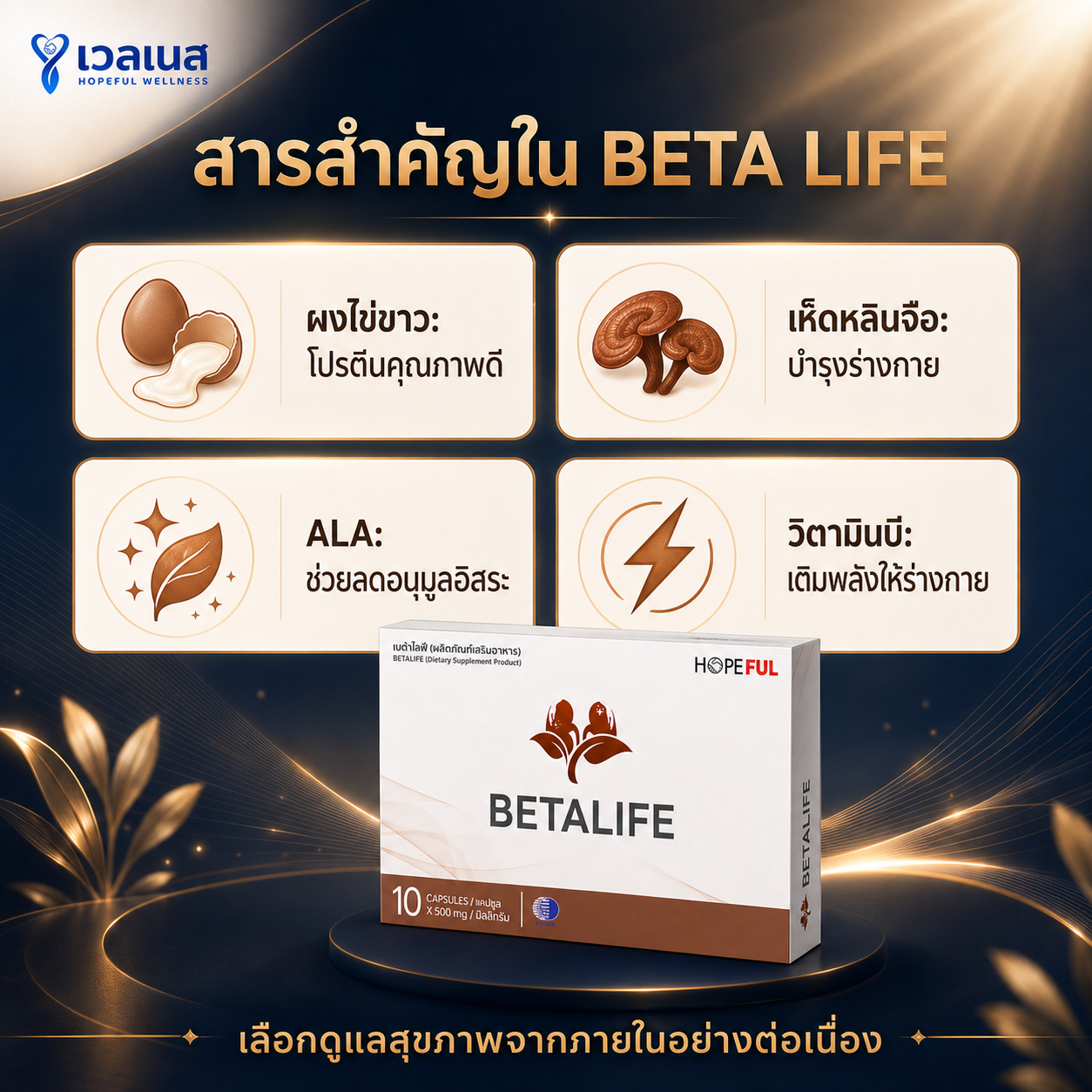 BETA LIFE สารสำคัญ ผงไข่ขาว เห็ดหลินจือ ALA วิตามินบี