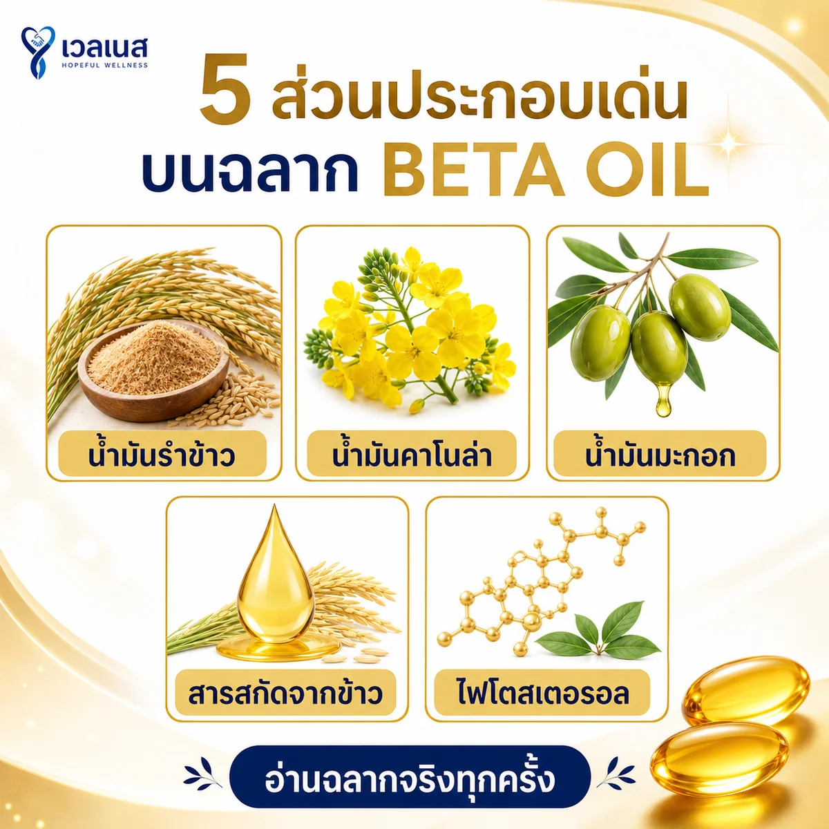 BETA OIL ส่วนประกอบเด่นบนฉลาก น้ำมันรำข้าว น้ำมันคาโนล่า น้ำมันมะกอก สารสกัดจากข้าว และไฟโตสเตอรอล