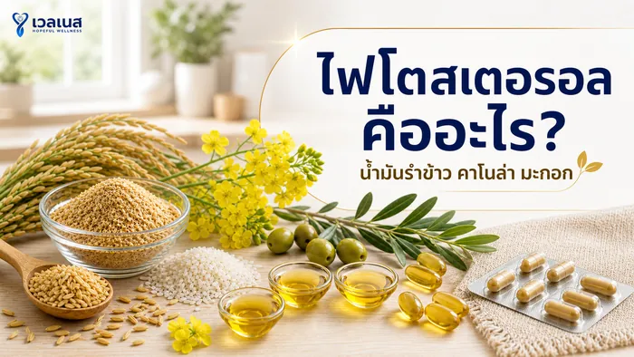 ทำความรู้จักไฟโตสเตอรอลแบบเข้าใจง่าย