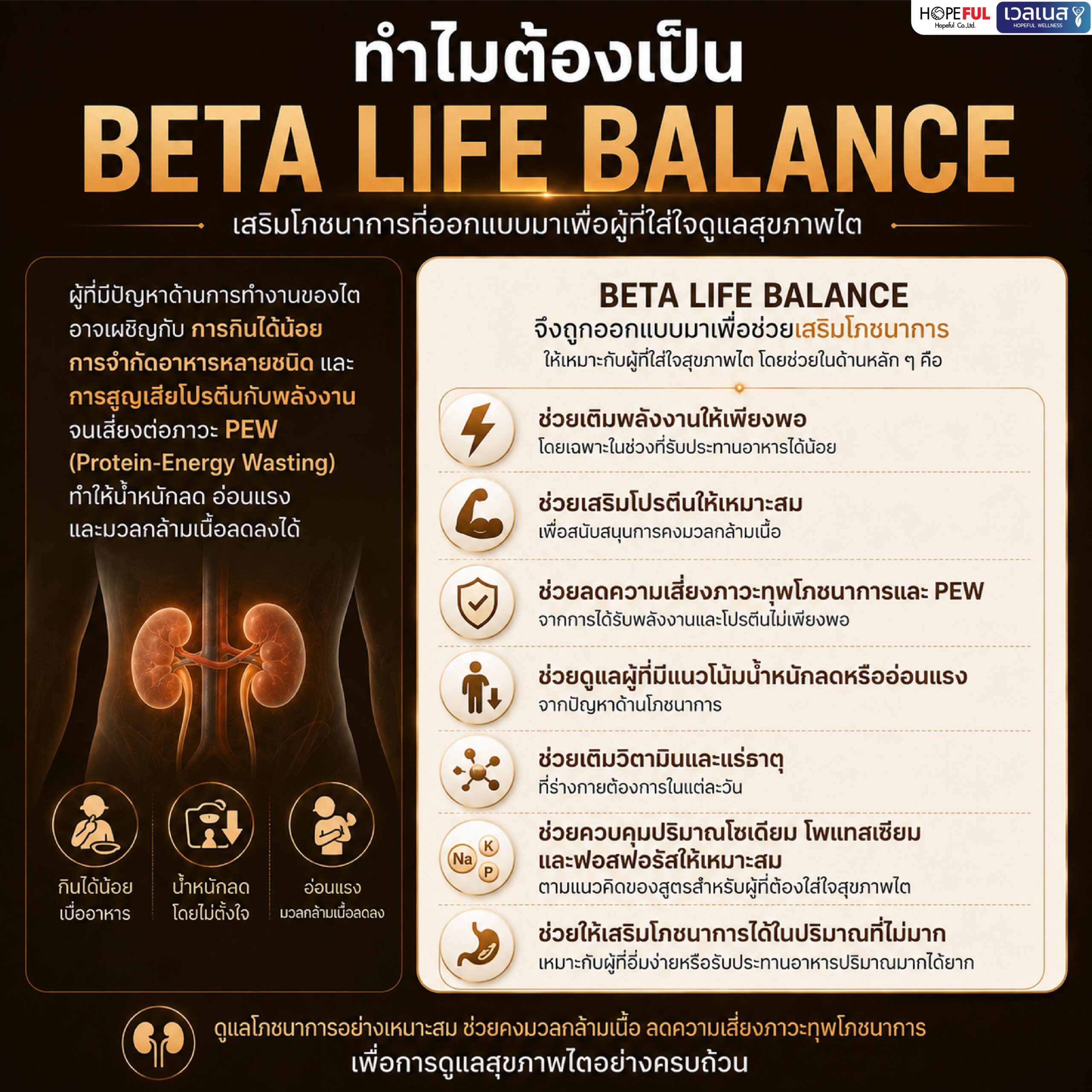 ภาพข้อมูล BETA LIFE BALANCE จากผู้จัดจำหน่าย ภาพ 13