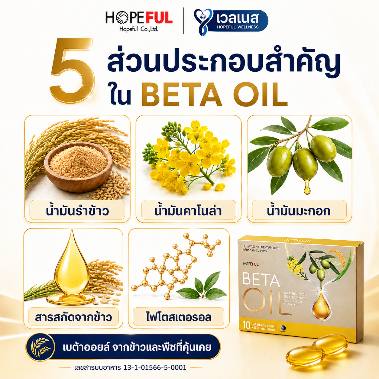 ส่วนประกอบสำคัญ 5 ชนิดของ BETA OIL เบต้าออยล์