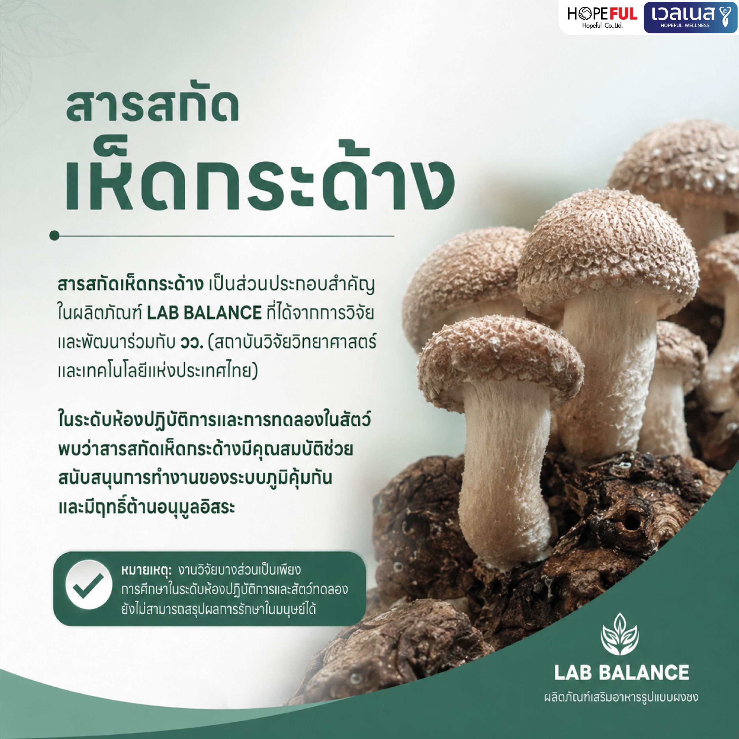 ภาพข้อมูล LAB BALANCE จากผู้จัดจำหน่าย ภาพ 4
