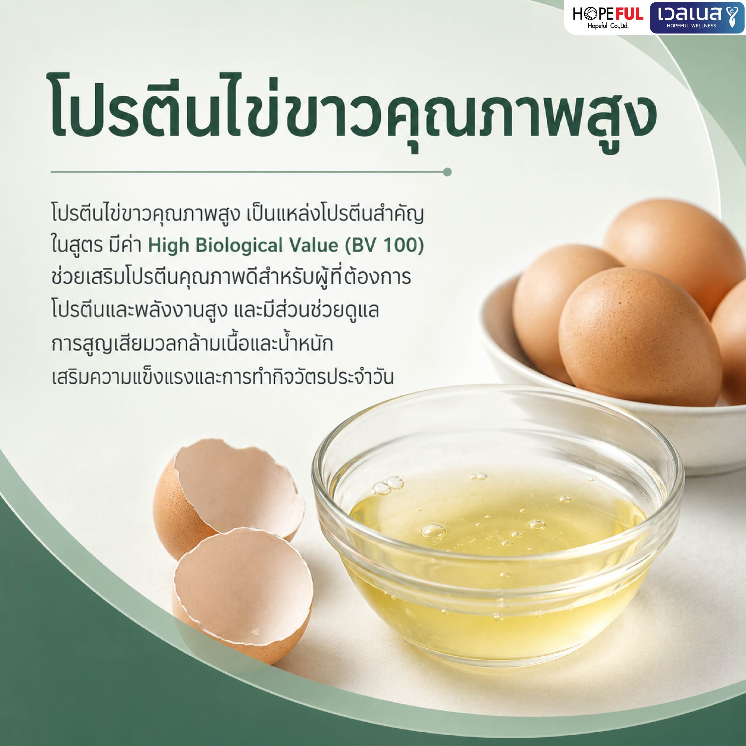 ภาพข้อมูล LAB BALANCE จากผู้จัดจำหน่าย ภาพ 5