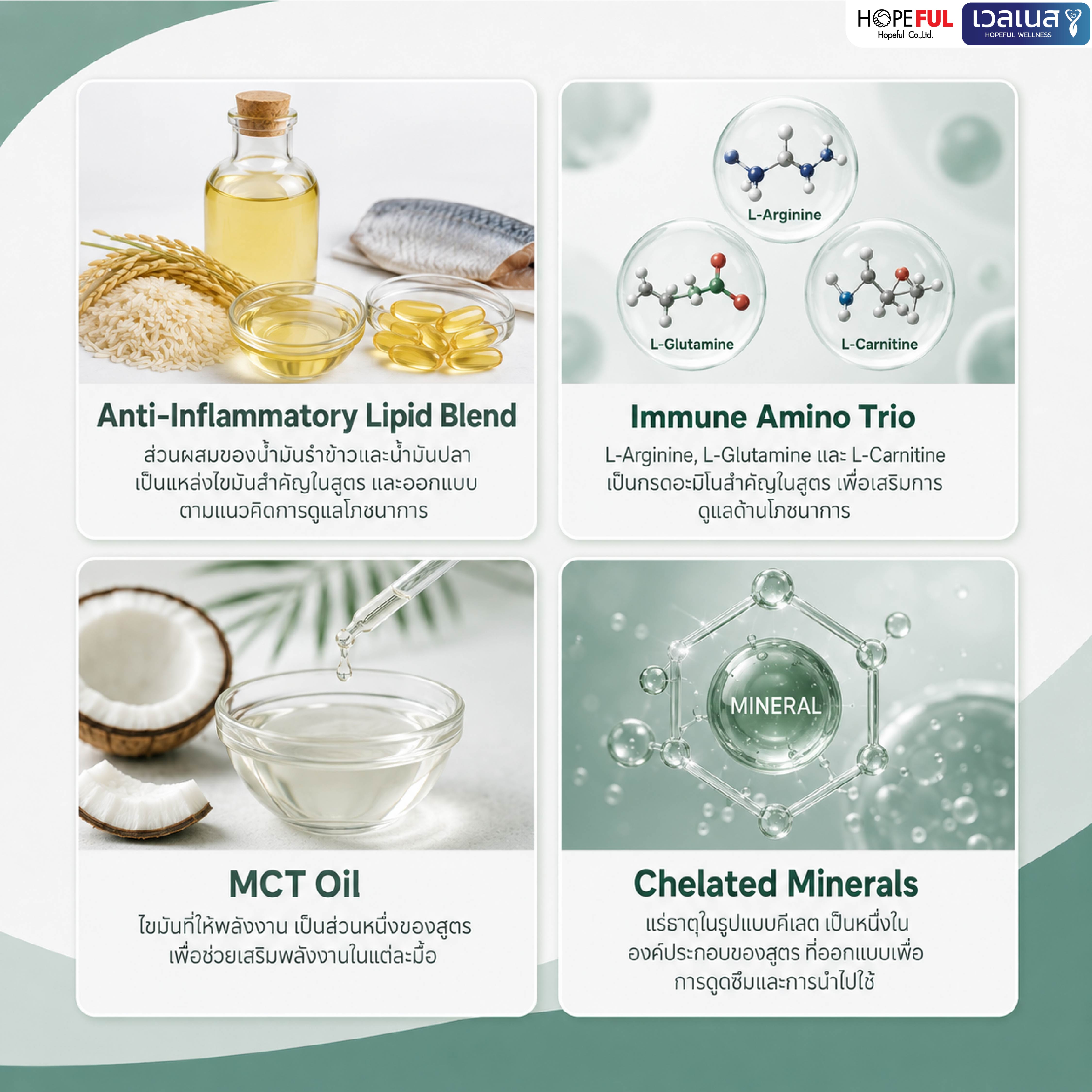 ส่วนประกอบ LAB BALANCE น้ำมันรำข้าว น้ำมันปลา เอ็มซีที และแร่ธาตุในรูปแบบคีเลต