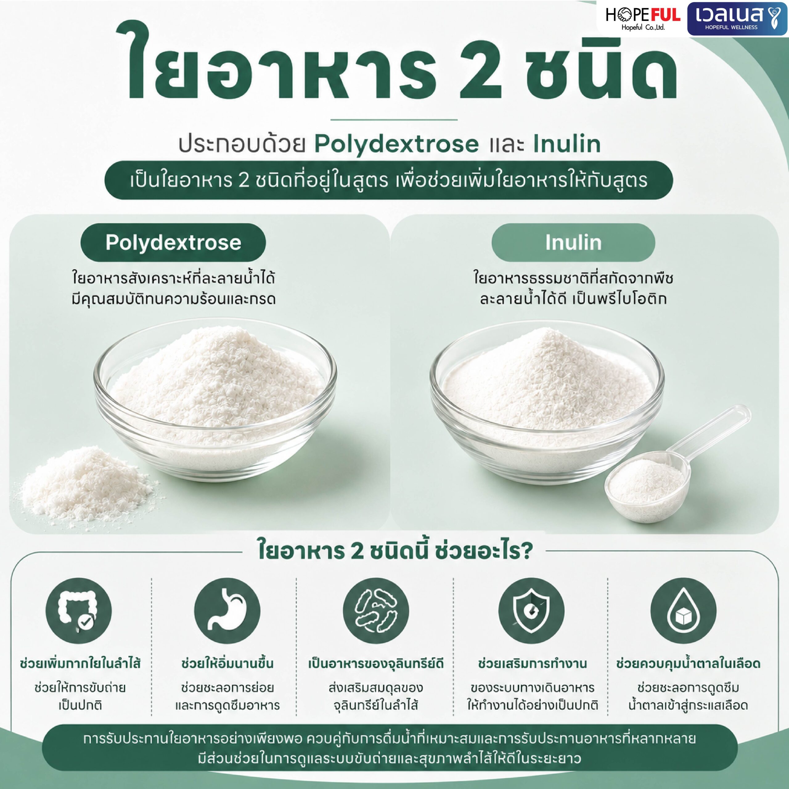 ภาพข้อมูล LAB BALANCE จากผู้จัดจำหน่าย ภาพ 7