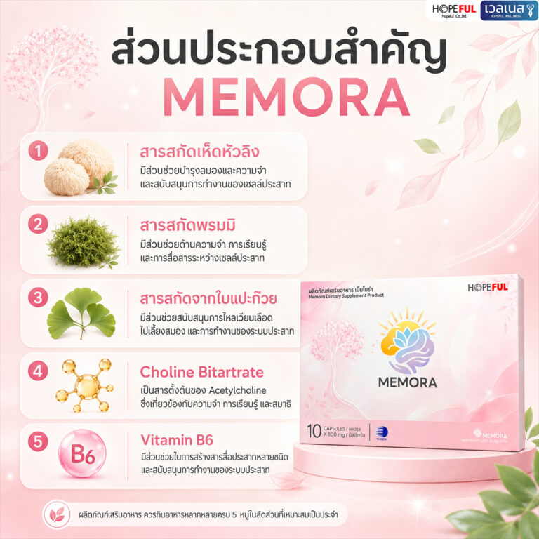 ภาพโปรโมชั่น MEMORA เม็มโมร่า 1 กล่อง ราคา 690 บาท