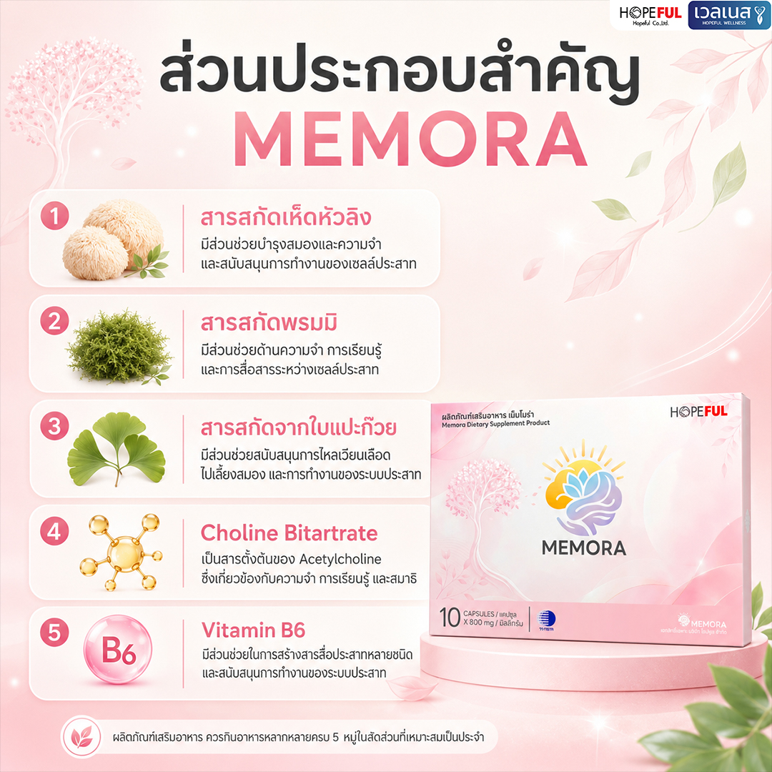 ส่วนประกอบสำคัญของ MEMORA เม็มโมร่า