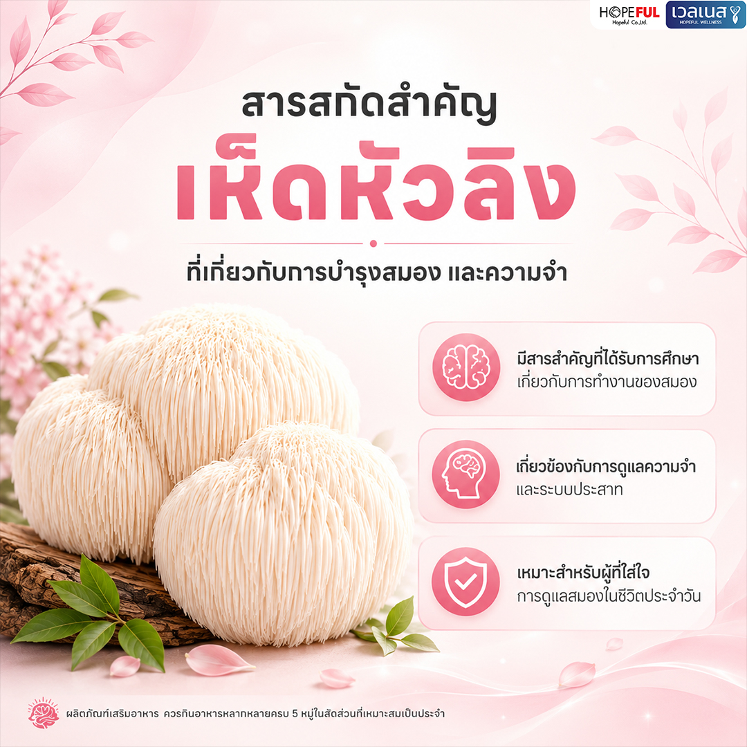 เห็ดหัวลิง ส่วนประกอบใน MEMORA เม็มโมร่า