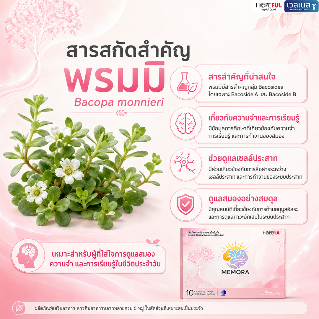 พรมมิ ส่วนประกอบใน MEMORA เม็มโมร่า